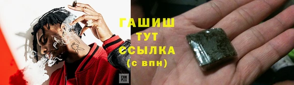 индика Ужур