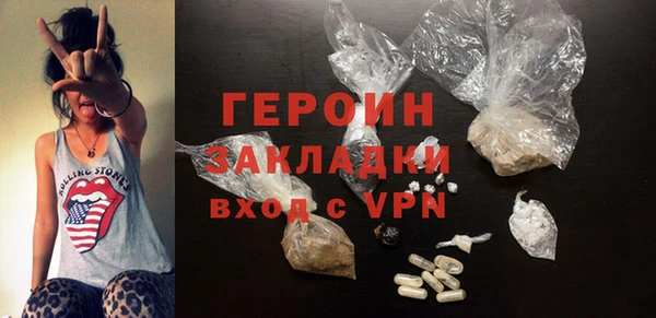 гашик Удомля