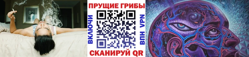 Псилоцибиновые грибы Psilocybe  где найти наркотики  Электроугли 